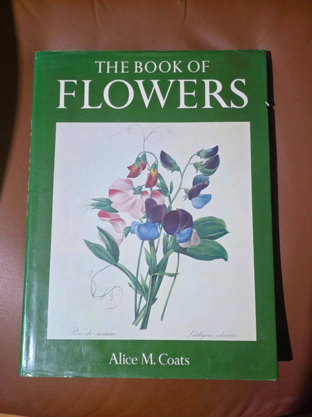 Vintage 1984 The Book of Flowers Alice M. Coats Oversized Botanical Art
